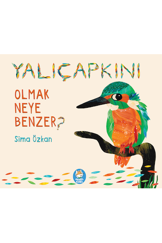 Yalıçapkını Olmak Neye Benzer? Resimli Hikâye Kitabı