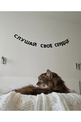 Padarunak Kalbininin Sesini Dinle Harfli Işıklandırma 181558515 Diğer