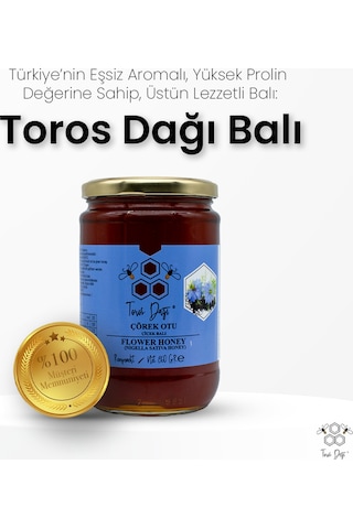 Toros Dağı Çörek Otu Balı 860 G