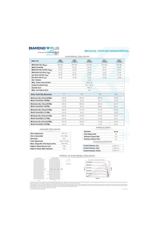 Tommatech 620wp 144tnb M10 Topcon Diamond Plus Güneş Paneli 36 Adet 1 Palet