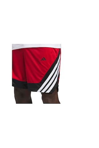 Adidas Pro Motion Shor Erkek Basketbol Şortu Kc7385 Kırmızı Kırmızı