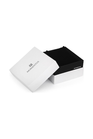 Momentus SC223S-04SS Erkek Kol Saati