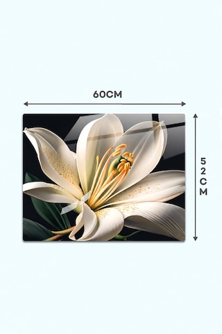 Gökçeoğlu Cam Ocak Arkası Koruyucu Cam Koruyucu Tezgah Ankastre Arkası Siyah Fon Beyaz Zambak Temalı 52cm X 60cm Çok Renkli