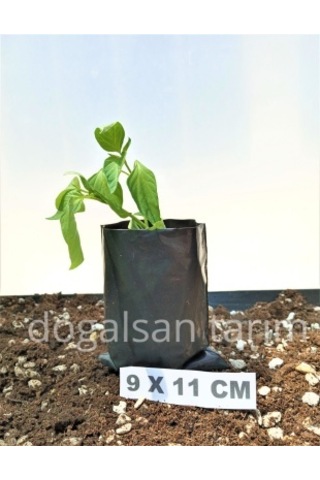 Fidan Poşeti 9X11 cm 10 Adet Körüksüz Fide Poşeti Fide Torbası