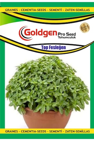 Goldgen Top Fesleğen Reyhan Tohumu 1 Paket
