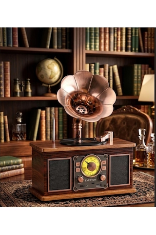 Rt-623 Nostalji Radyo Fm-usb-tf-aux 1800mah Retro Gramafon Radyo