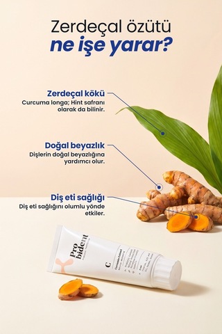 Probident Zerdeçal Özütü İlaveli Probiyotik Diş Macunu 75 ML