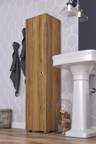 Saltık Çok Amaçlı Banyo Antre Mutfak Balkon Dolabı Kiler Ceviz
