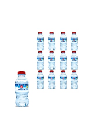 Atatürk Orman Çiftliği Elmacık Su 48 x 330 ML