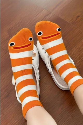 Hitit Socks 4 Çift Sevimli Yılan Balığı Desenli Ve Çizgili Uz... Çok Renkli
