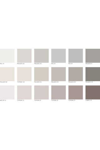 Nippon Leona Beyaz İpeksi Mat Tam Silinebilir İç Cephe Boyası 13.