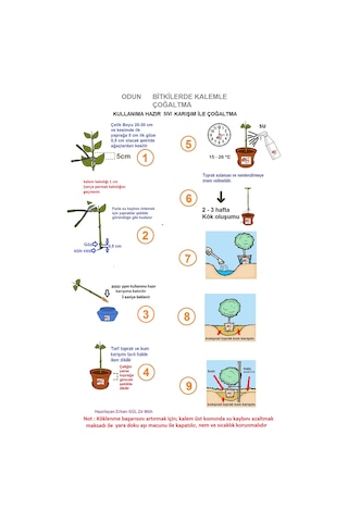 Eastroot Ağaç Fidan Köklendirme Hormonu 8000 Ppm 100ML
