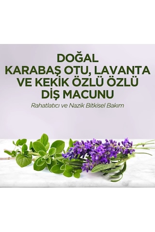 Mey İthalat Doğal Diş Macunu 90 Gr Karabaş Otu & Lavanta Ve Kekik Özlü Acı - Portakal