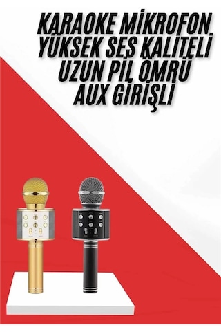 Mey İthalat Karaoke Mikrofon Dahili Hoparlörlü Sd-usb-aux Girişli Bluetooth Hoparlör