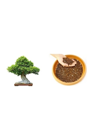 Bonsai Toprağı Özel Karışım 30 L