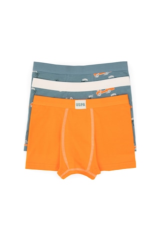 U.S. Polo Assn. Erkek Çocuk 3'lü Boxer Takım 50319395-VR051