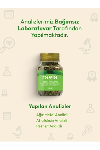 Ravla Melisa Oğul Otu - 15g