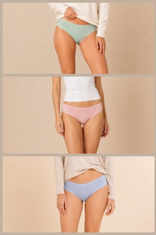 Loule Kadın 3'lü Modal Pamuklu Bikini Külot Pudra Yeşil Mavi Pudra - Yeşil - Mavi