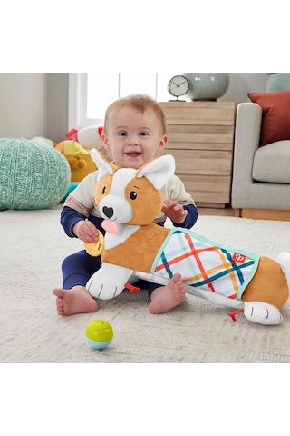 Fisher-Price 3ü1 Arada Köpekçik Uzanma Yastığı HJW10