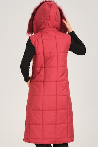 Z6718 Dewberry Bayan Yelek-bordo Bordo