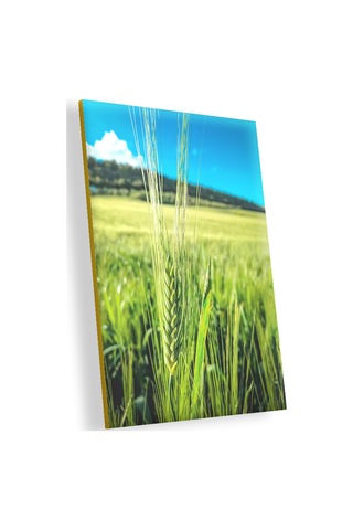 Cakasepetim Yeşil Buğday Başakları Ahşap Mdf Tablo