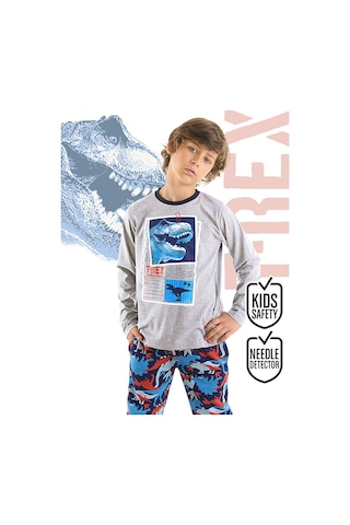 T-rex Info Erkek Çocuk T-shirt Pantolon Takım