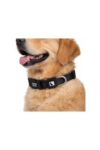 Swissplus Urban Paws Köpek Tasması Noir Black Ayarlanabilir, Dayanıklı, Hafif-25mm Mavi