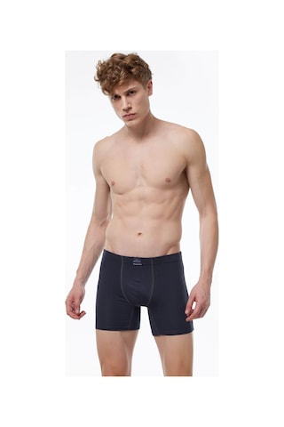 Malabadi 073 Erkek Likralı Uzun Boxer-Füme