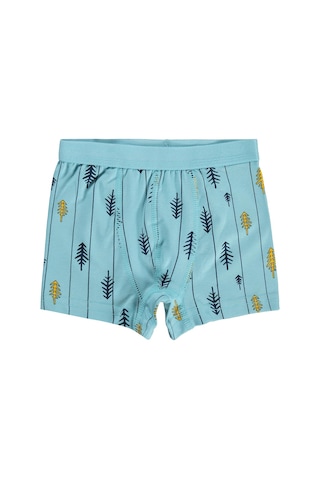 Civil Boys Civil Erkek Çocuk Wonderful Erkek Çocuk 2'li Boxer Likralı Süprem Okul Kreş Ve Günlük Kullanım Standart