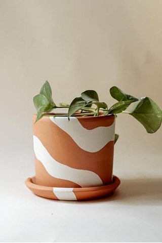 Terracotta Silindir Saksı+tabak Bohem Beyaz Küçük Diğer