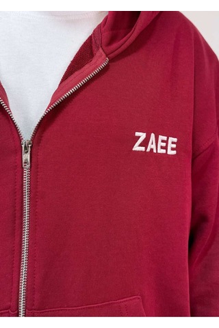 Zaee İnce Kumaş Nakışlı Oversize Premium Zip Hoodie Çok Renkli