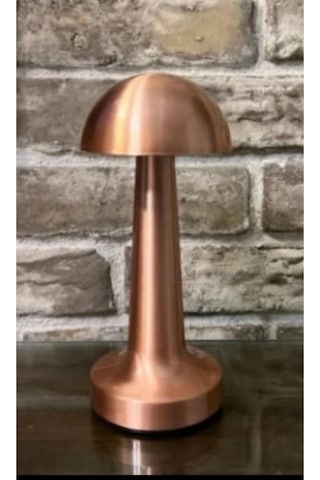 Yl86 1231 Atina Dokunmatik Şarjlı Bronz Masa Lambası 3 Renk .