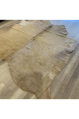 Hoom Rugs Dana Derisi P09 3,45m2