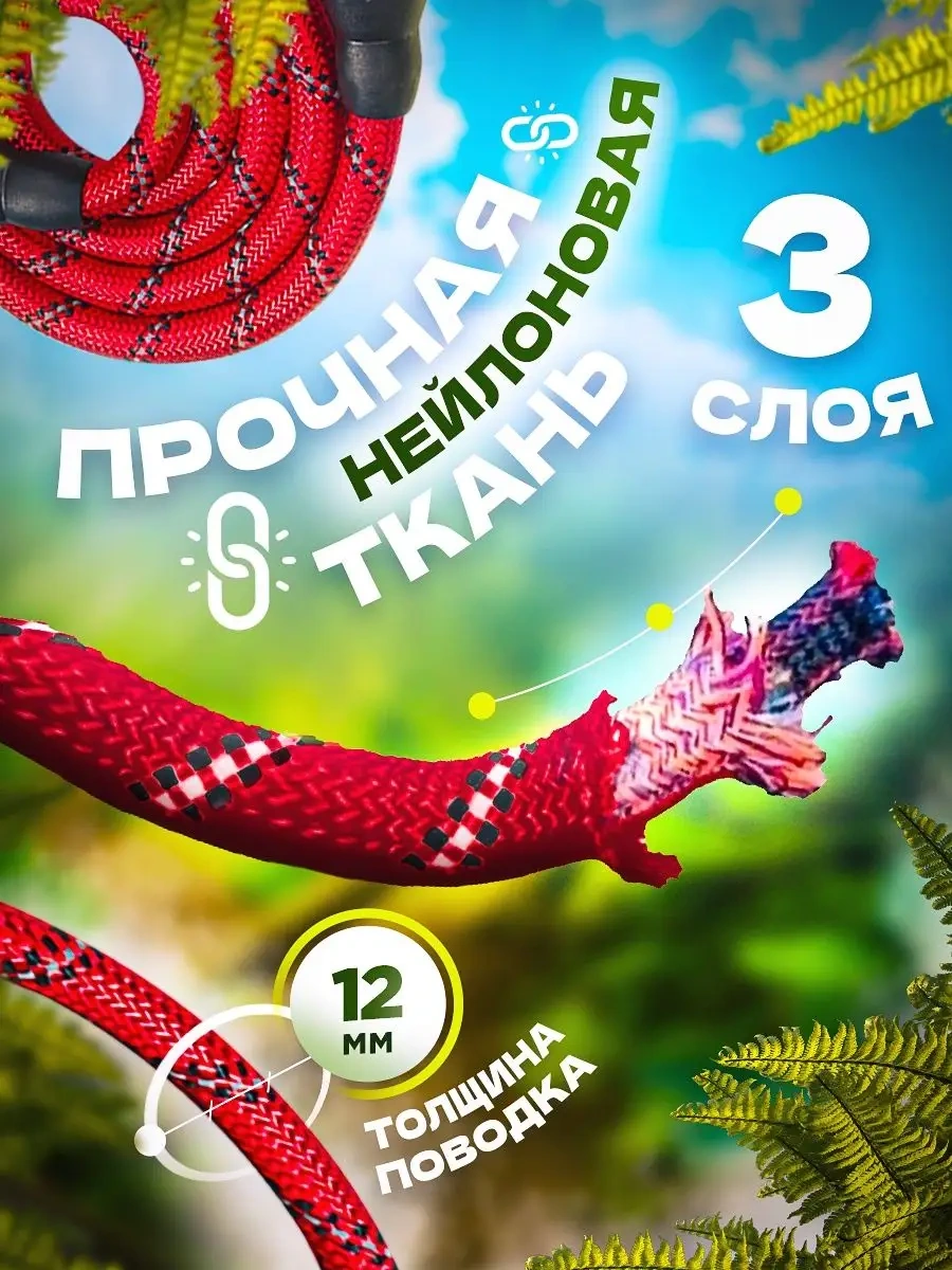 Petfort 3 M Yansıtıcı Naylon Köpek Tasması 167502163 Kırmızı