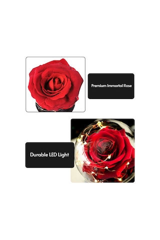 Mufunye Renkli Işık Modlu Cam Kubbede İpek Gül Gece Lambası - Çocuk Odası Dekoru Kırmızı