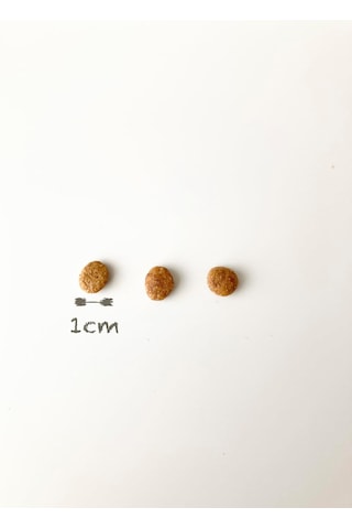 Somonlu Yetişkin Kedi Maması 1 Kg