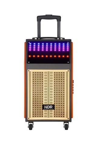 Torima NDR-108R Kablosuz Mikrofonlu Uzaktan Kumandalı RGB Bluetooth Hoparlör