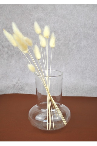 Mantar Cam Vazo 12 Cm- 1 Adet