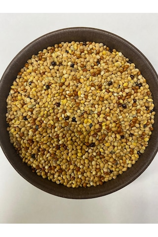 Karışık Muhabbet Kuşu Yemi 5 Kg