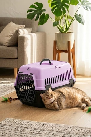 Evcil Hayvan Kedi Köpek Taşıma Sepeti Orta Boy
