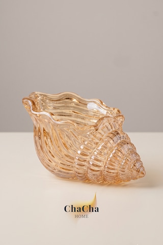 Maris Dekoratif Cam Deniz Kabuğu Lokumluk & Sunumluk 11x5 Cm 6 Adet Bal Rengi