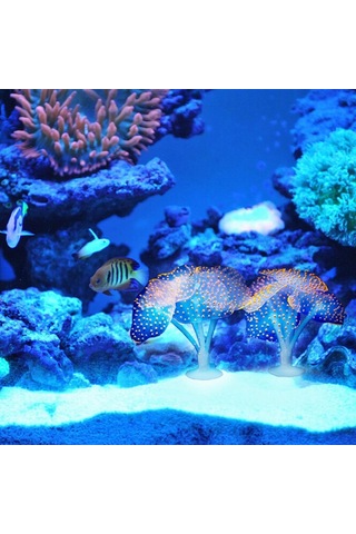 Sones Akvaryum Makaleleri Dekorasyon Silikon Simülasyon Floresan Enayi Denizanası, Boyut: 10 10 9cm