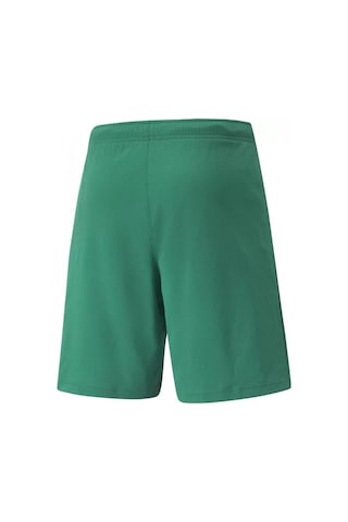 Puma Teamrise Short Erkek Futbol Maç Şortu 70494205 Yeşil