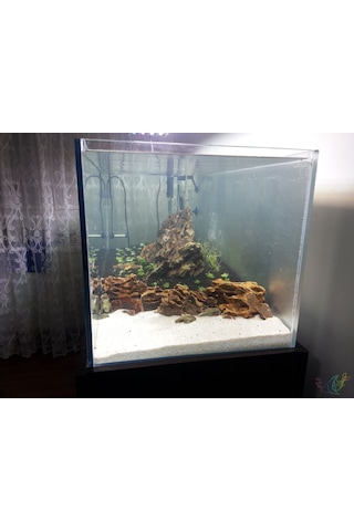Beyaz Kalsiyumlu Akvaryum Kumu 10 Kg 1-1.50 Mm