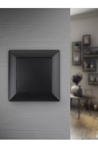 Intro Tek Tuşlu Solo Anahtar 10a-250v 123742441