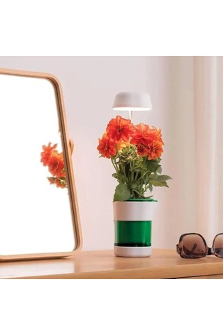 Hızlı Bitki Yetiştirme Saksısı - 9030757757651do