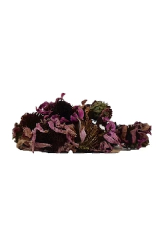 Derya Eren Ekinezya Çiçeği Echinacea Angustifolia 500 G