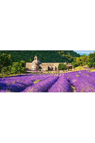 Castorland 600 Parça Puzzle Notre Dame De Senanque France
