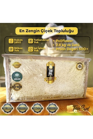 Tanbal Yayla Çiçek Balı 2800 G