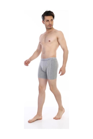 Çift Kaplan 855 Uzun Erkek Boxer - Gri - 54 Gri